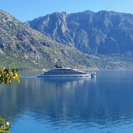 Magnolia Adriatic Daire Kotor Dış mekan fotoğraf