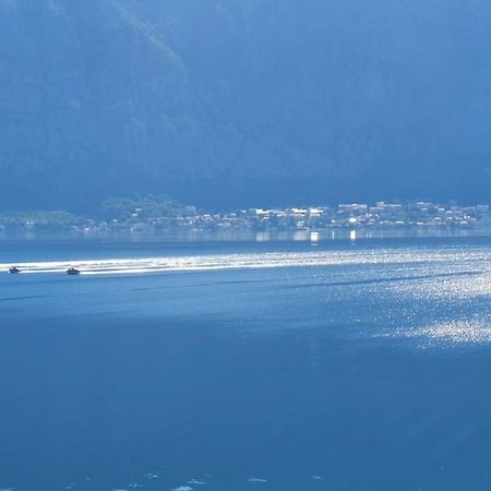 Magnolia Adriatic Daire Kotor Dış mekan fotoğraf