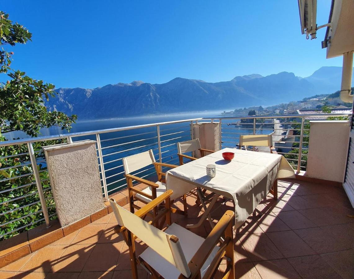 Magnolia Adriatic Daire Kotor Dış mekan fotoğraf