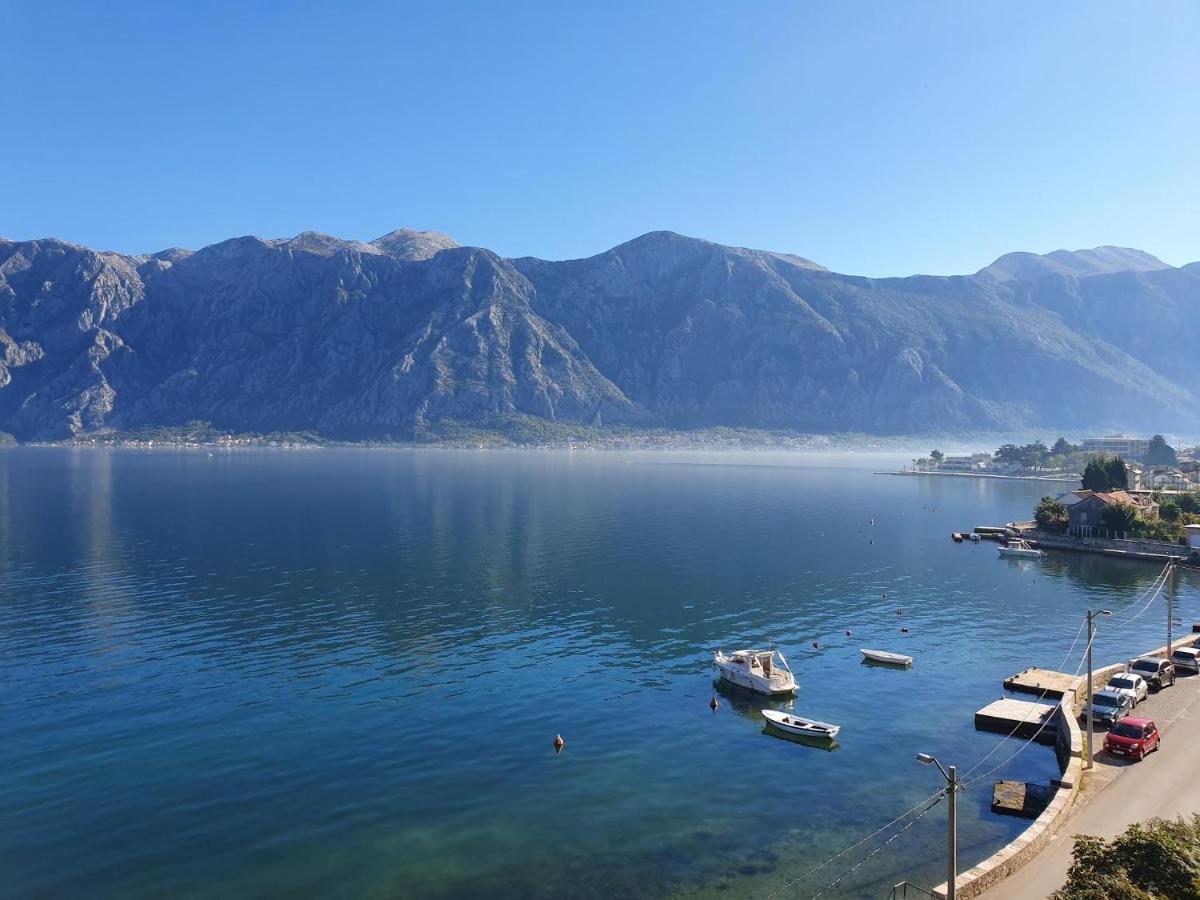 Magnolia Adriatic Daire Kotor Dış mekan fotoğraf