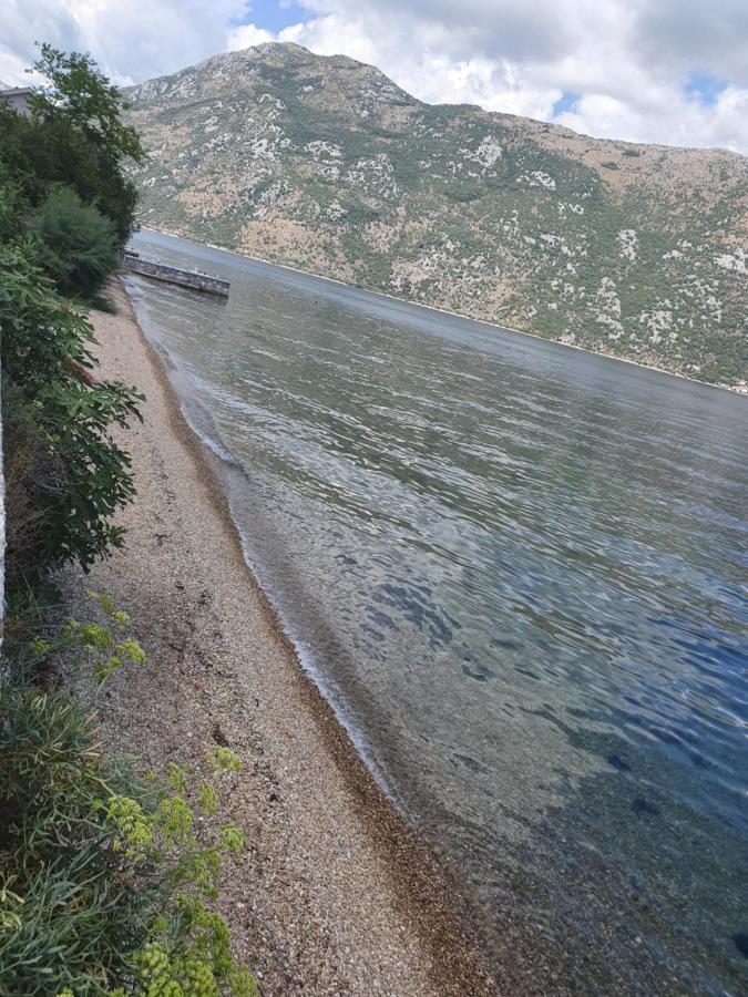 Magnolia Adriatic Daire Kotor Dış mekan fotoğraf