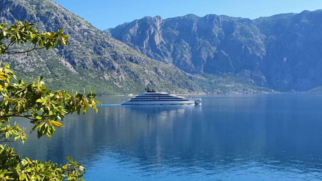 Magnolia Adriatic Daire Kotor Dış mekan fotoğraf
