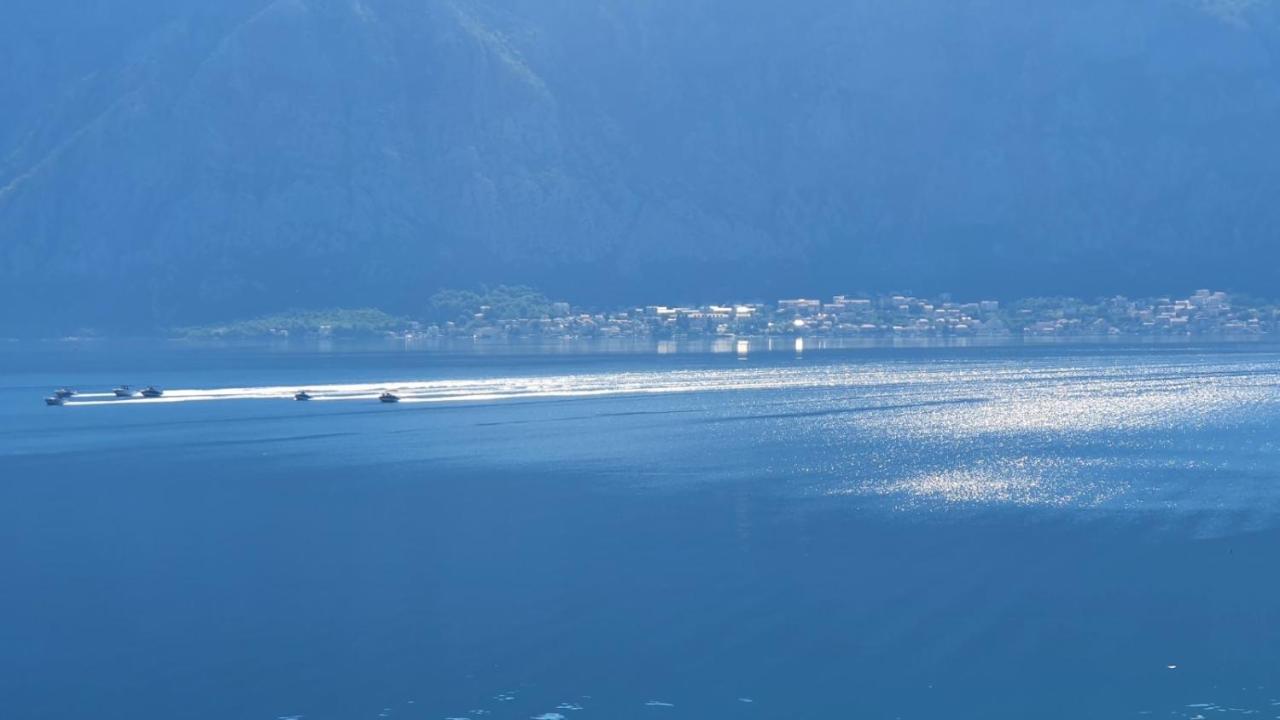 Magnolia Adriatic Daire Kotor Dış mekan fotoğraf