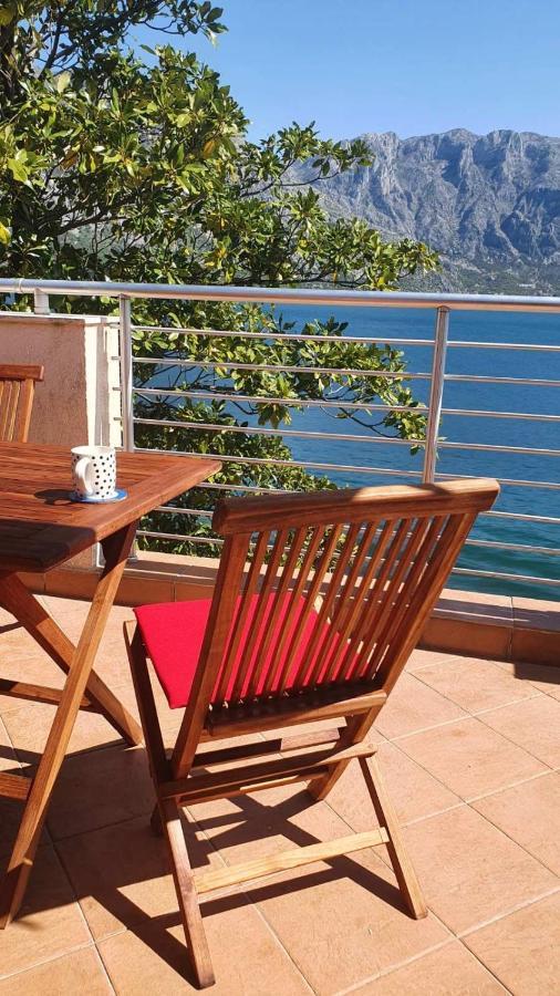 Magnolia Adriatic Daire Kotor Dış mekan fotoğraf